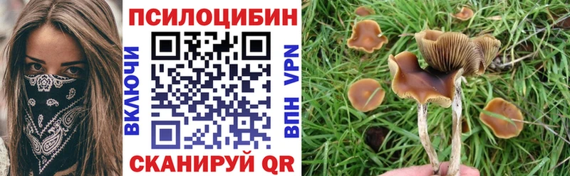 Галлюциногенные грибы ЛСД  Купить закладки  Петров Вал 