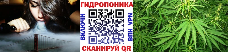 Купить  Петров Вал  Каннабис ГИДРОПОН 